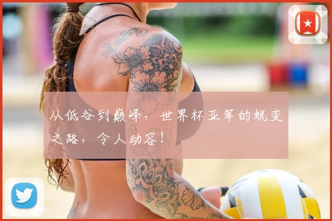 从低谷到巅峰，世界杯亚军的蜕变之路，令人动容！
